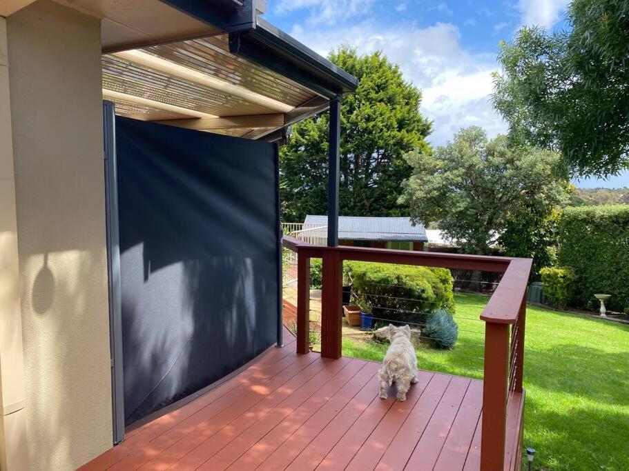 Little Haven In Mount Eliza With Views Apartment Exterior photo